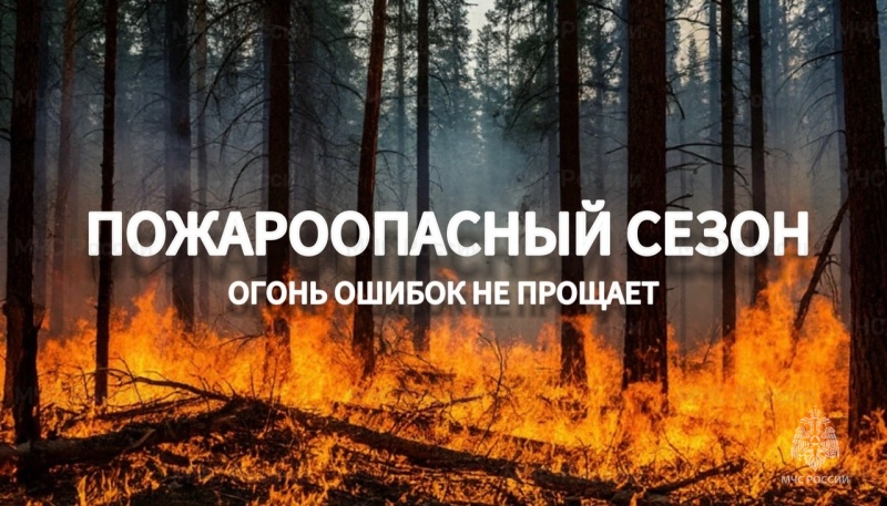 ❗Памятка населению по профилактике лесных пожаров и действиям при их возникновении❗.